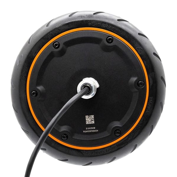 Μοτέρ 21.6V 250W [Xiaomi Mi 4GO] Original